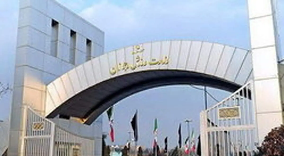 فعالیت ۳۰ رشته ورزشی در سراسر کشور مجاز شد +اسامی
