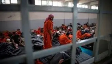 ۷ تن از داعشی‌های زندان الهول فرار کردند