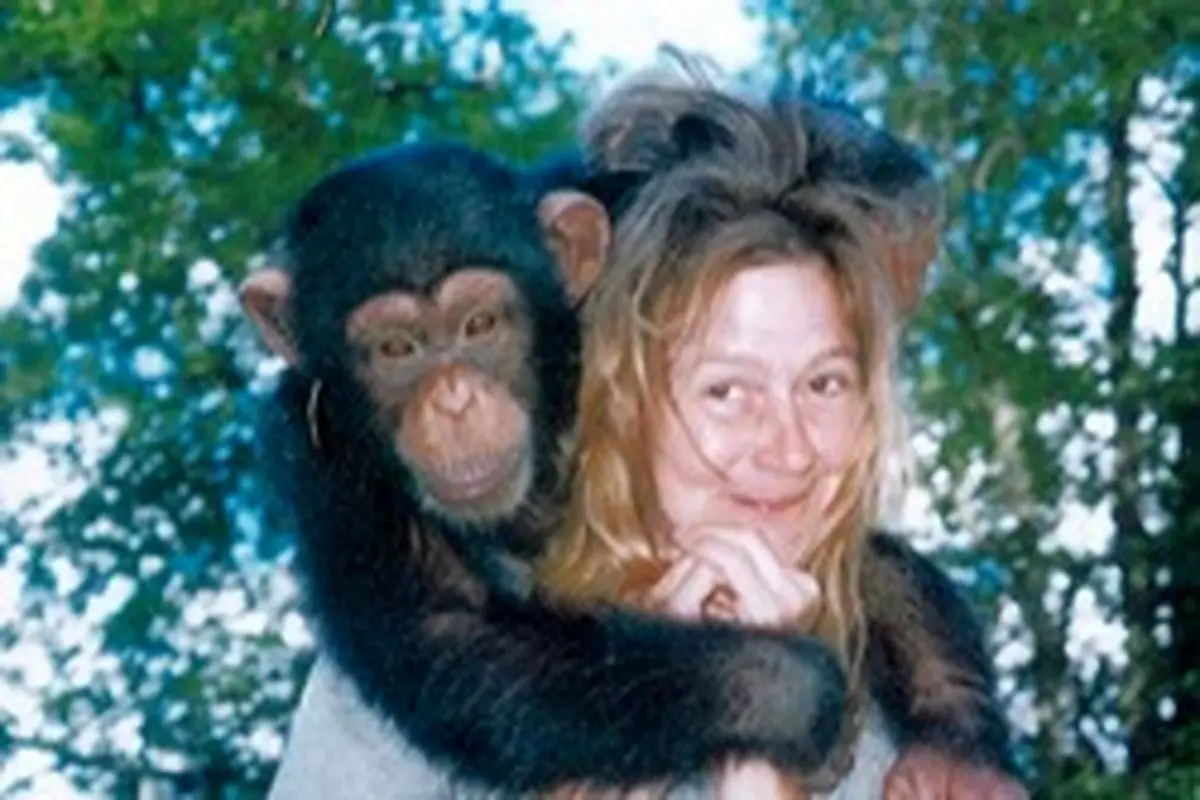 تصاویر هولناک از دریدگی صورت یک زن توسط شامپانزه