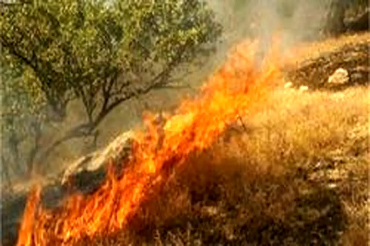 آتش‌سوزی مراتع گچساران همچنان ادامه دارد