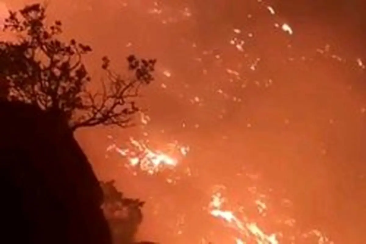 آتش همچنان بر خرمن جنگل‌های گچساران