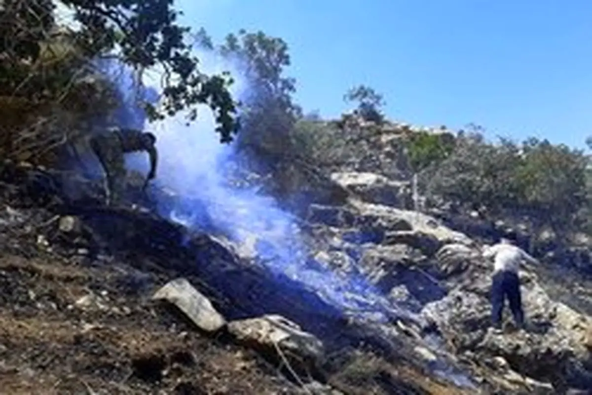 خوانپایه:آتش سوزی جنگل‌های گچساران مهار شد