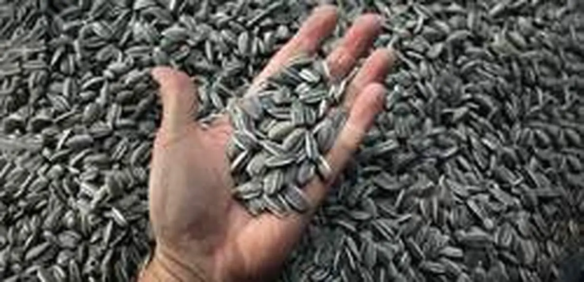عادت تخمه شکستن چه خطراتی دارد؟