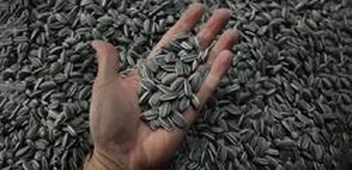 عادت تخمه شکستن چه خطراتی دارد؟