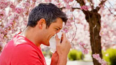 خوراکی های مفید برای کاهش حساسیت بهاری