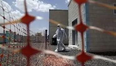 افزایش شمار فوتی‌های کرونا در چهار کشور عربی
