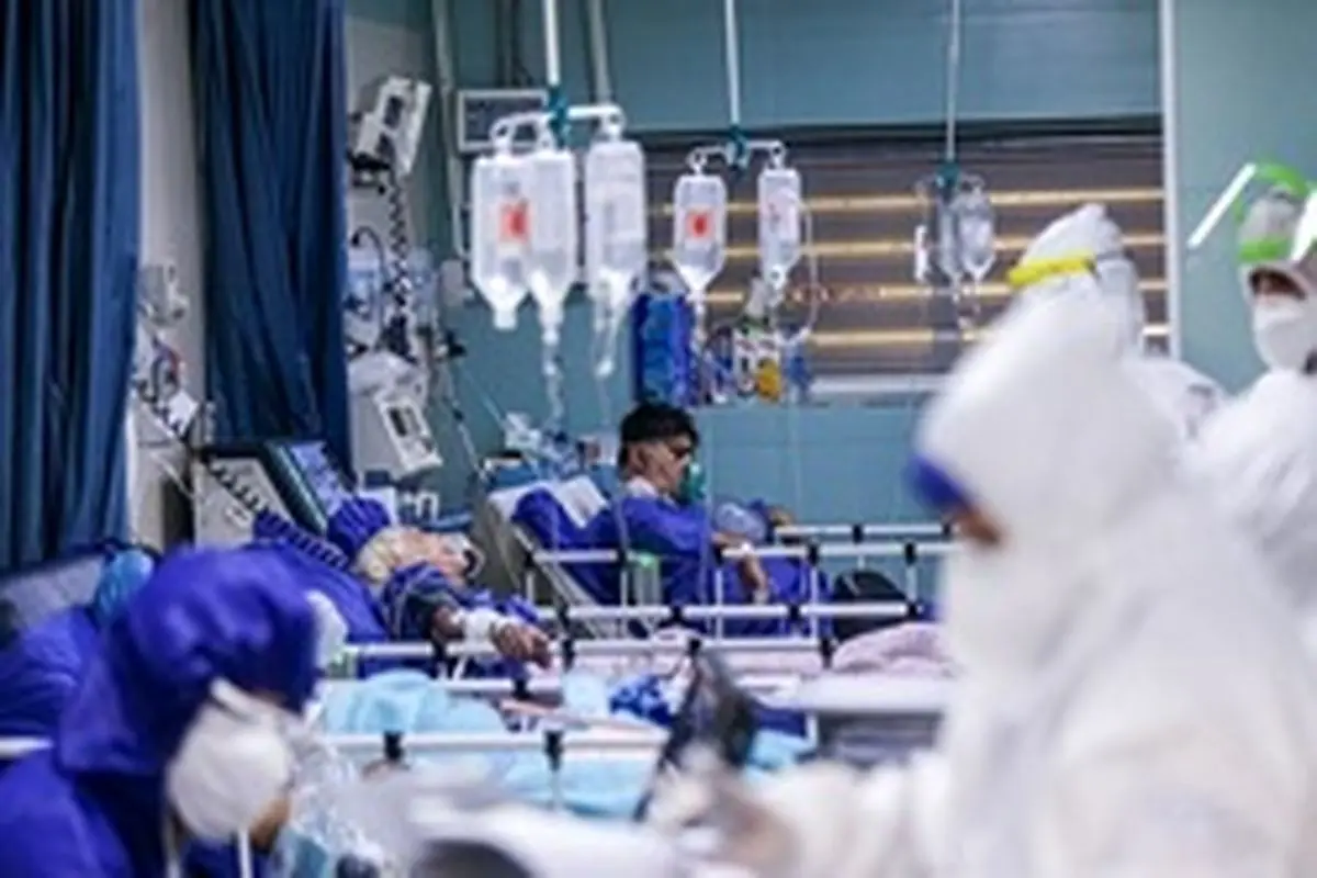 زالی: شیب نزولی بیماران کرونا در تهران متوقف شد