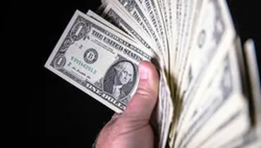 جزئیات قیمت رسمی انواع ارز/نرخ یورو و پوند افزایش یافت
