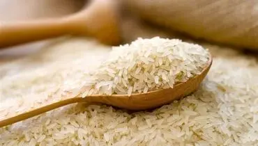 ارز دولتی واردات برنج حذف شد + سند