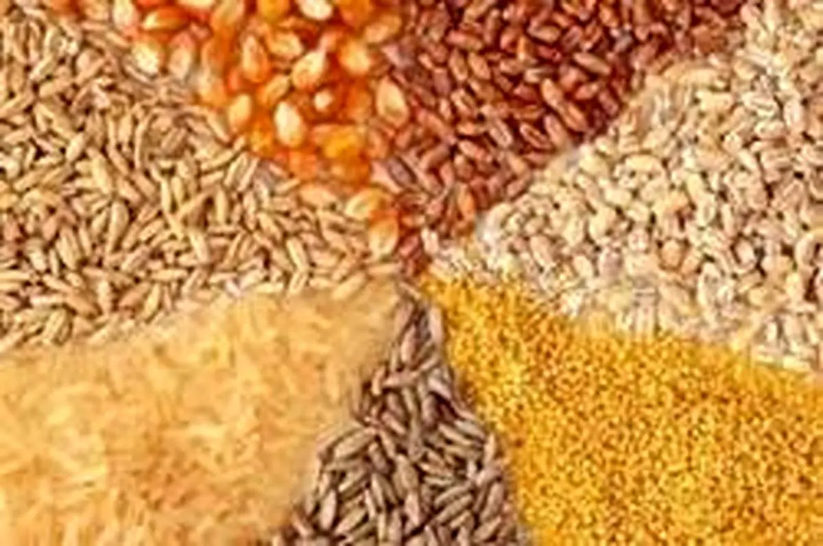 قیمت انواع نهادههای دامی و کشاورزی ۳۱ اردیبهشت