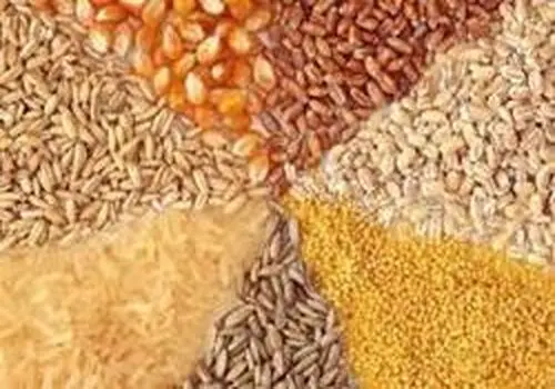 قیمت روز روغن، مرغ و برنج در بازار ۱۲ دی ۱۴۰۴ + جدول

