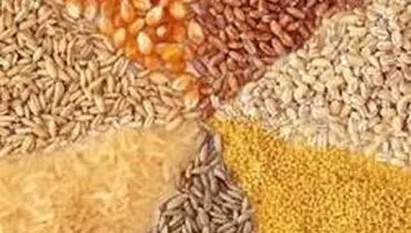 قیمت انواع نهاده‌های دامی و کشاورزی ۳۱ اردیبهشت