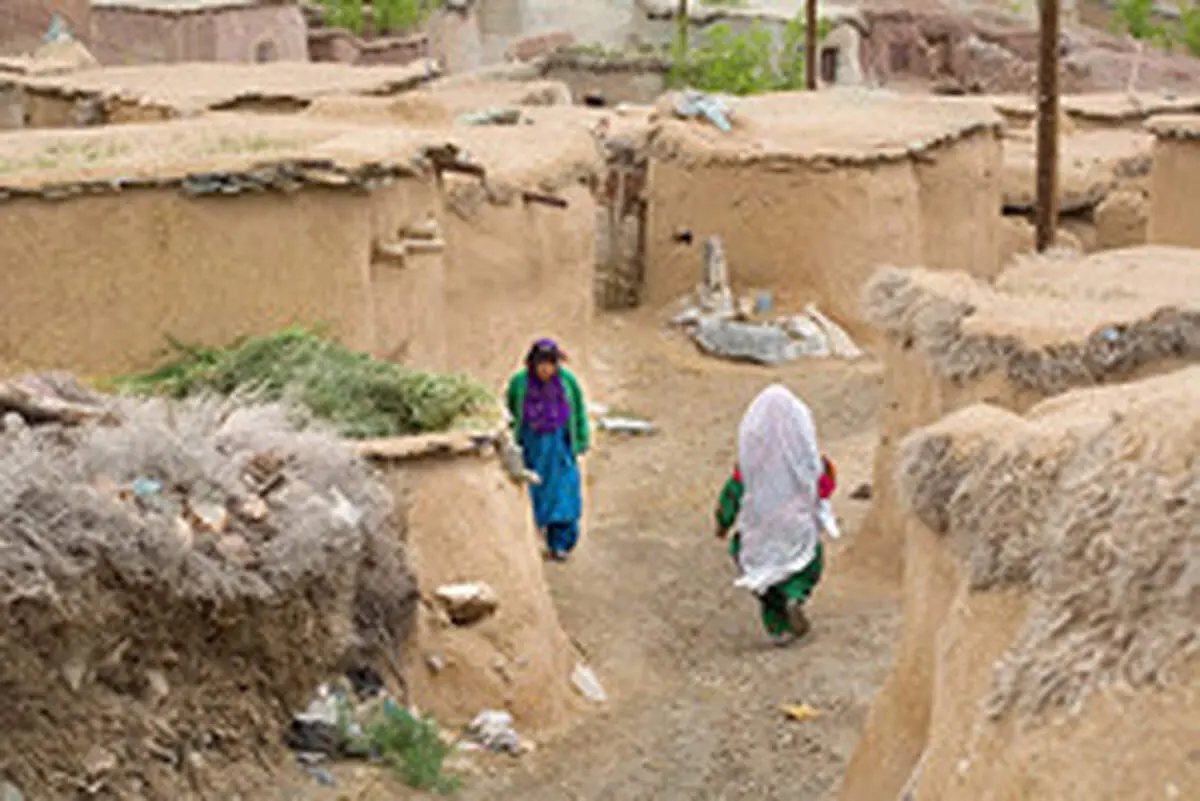 آشنایی با سرزمین لی لی پوت های ایران