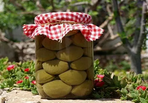 طرز تهیه ترشی چغاله بادام خوشمزه و خاص