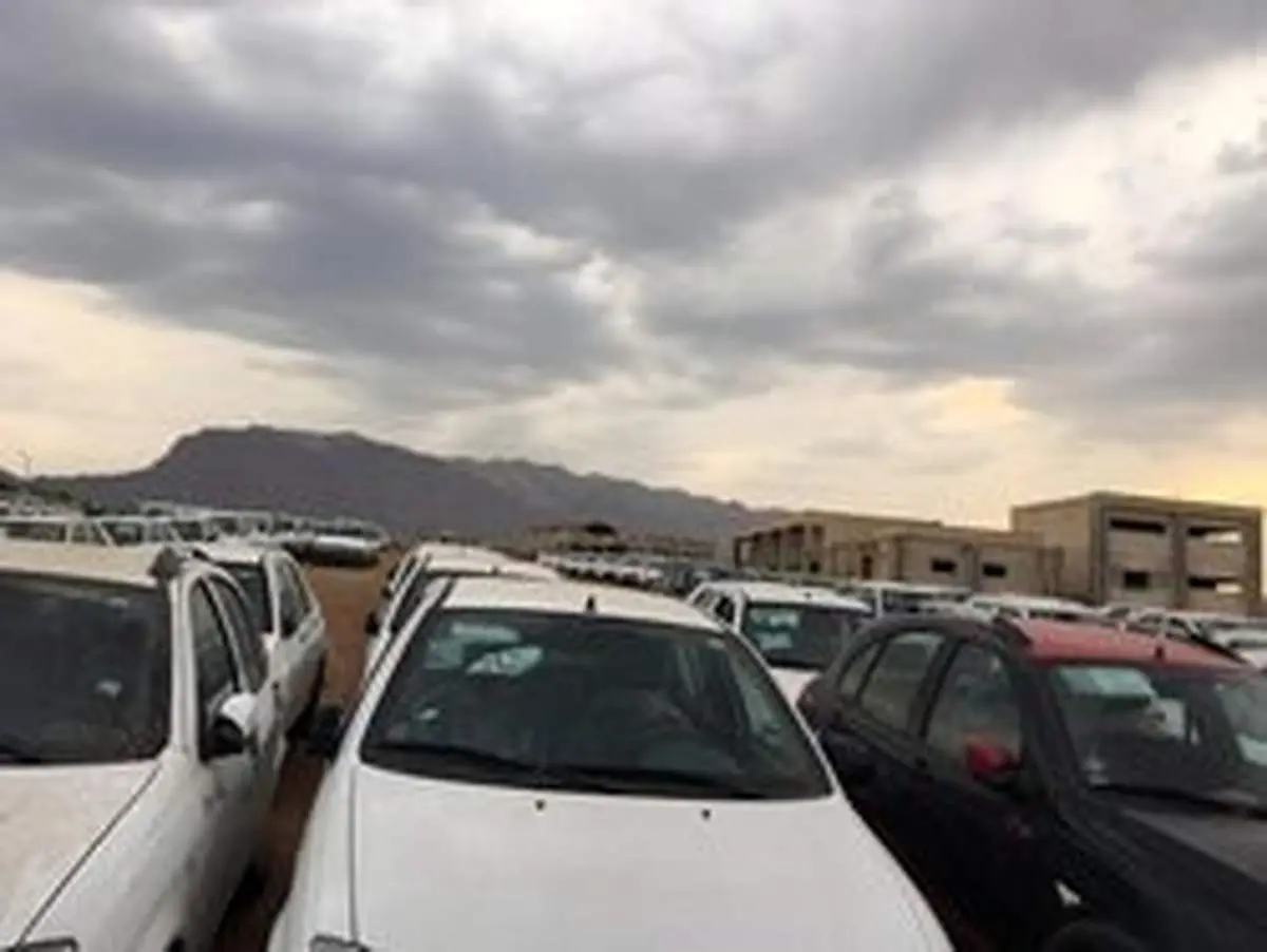 کشف بیش از ۱۸۰ خودرو مظنون به احتکار در فارس