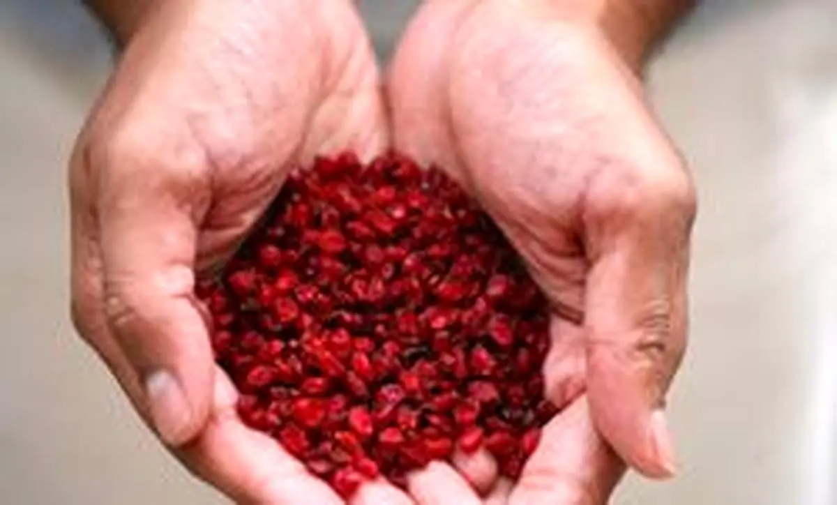 خواص بی نظیر زرشک برای رفع گرما زدگی