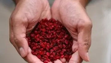 خواص بی نظیر زرشک برای رفع گرما زدگی