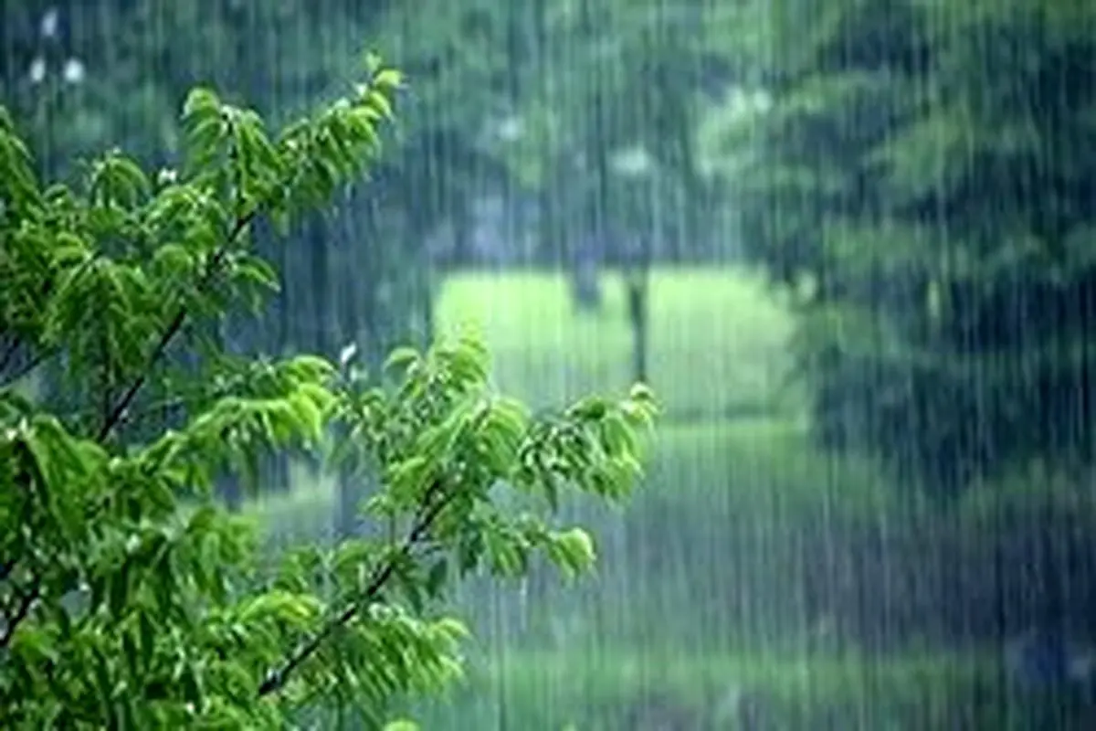 رشد ۳۰ درصدی بارش نسبت به دوره بلندمدت؛ ۱۲۰ درصد بارش یکسال زراعی تامین شد
