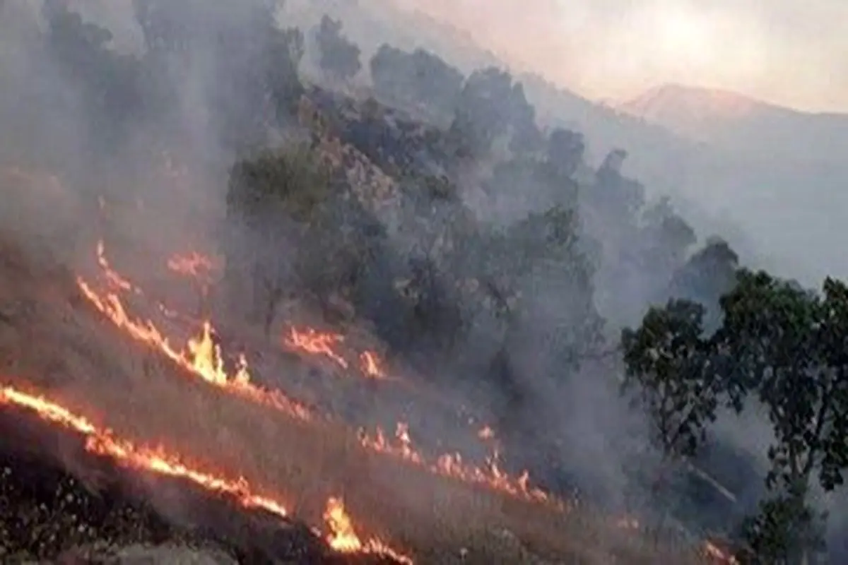 ویدیو / آتش سوزی کوه دیل گچساران و خاییز