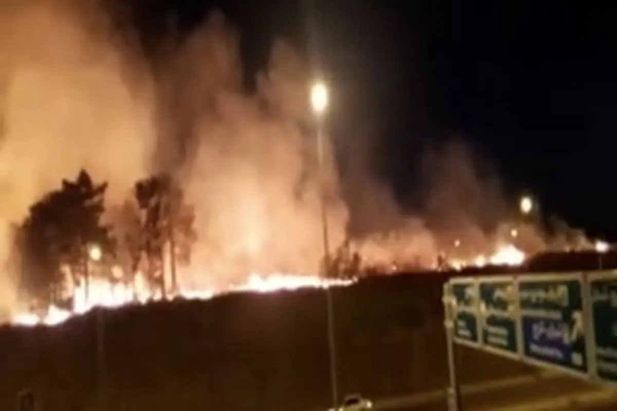 ویدیو| پارک چیتگر تهران در آتش سوخت