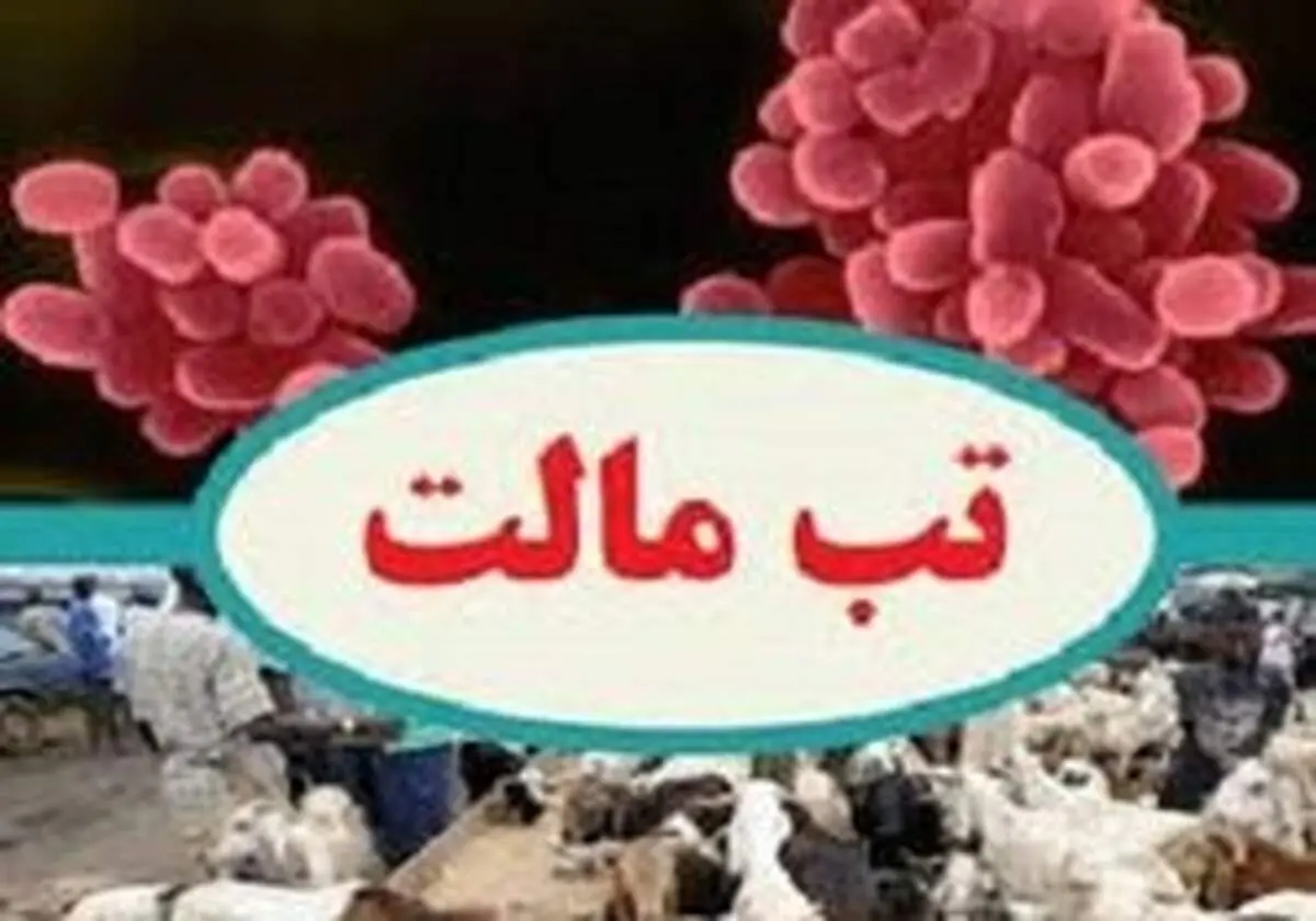 هشدار شیوع "تب‌مالت"/ لبنیات سنتی مصرف نکنید