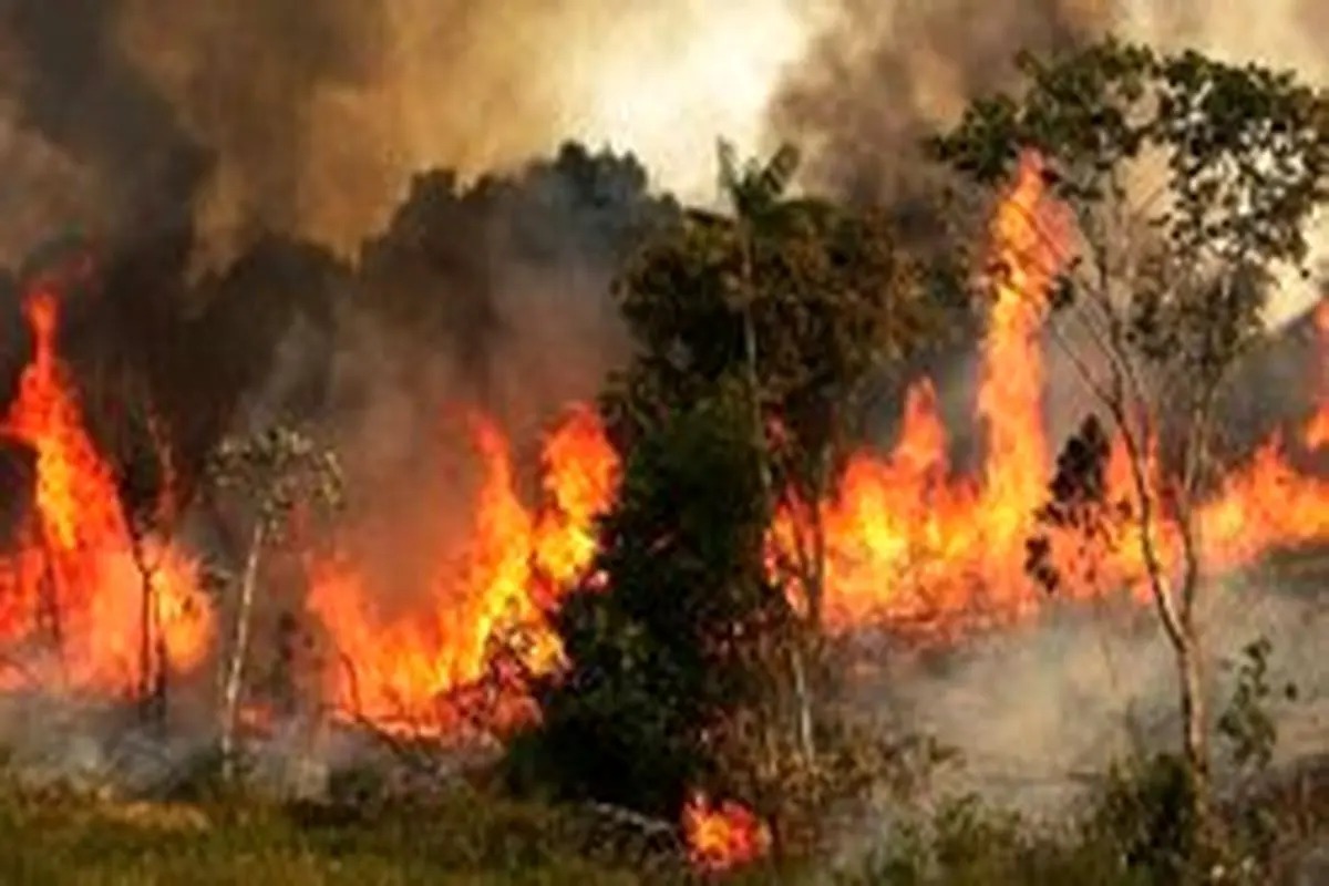 آتش سوزی مراتع دهلران مهار شد