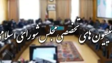 آغاز کار کمیسیون‌های تخصصی مجلس از ۲۵ خرداد ماه