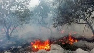 عوامل آتش سوزی جنگل‌های خائیز دستگیر شدند
