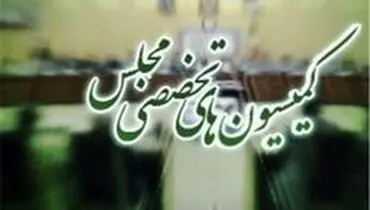 حذف احمدی‌نژادی‌ها از کمیسیون امنیت ملی/ قالیباف صدرنشین شوراها