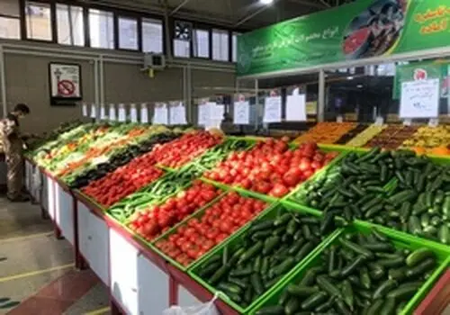 سقوط آزاد قیمت سیب زمینی پس از ممنوعیت صادرات

