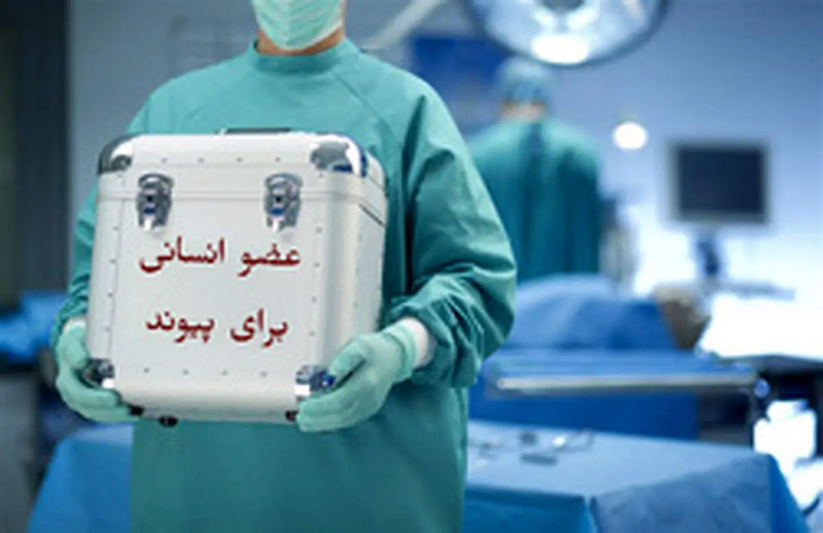 پاسخ سوالات شرعی درباره احکام «خرید و فروش اعضای بدن»