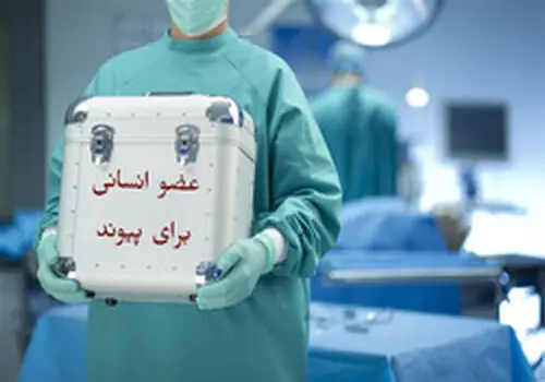 آیا پیوند اعضا می‌تواند فرآیند پیری را متوقف کند؟