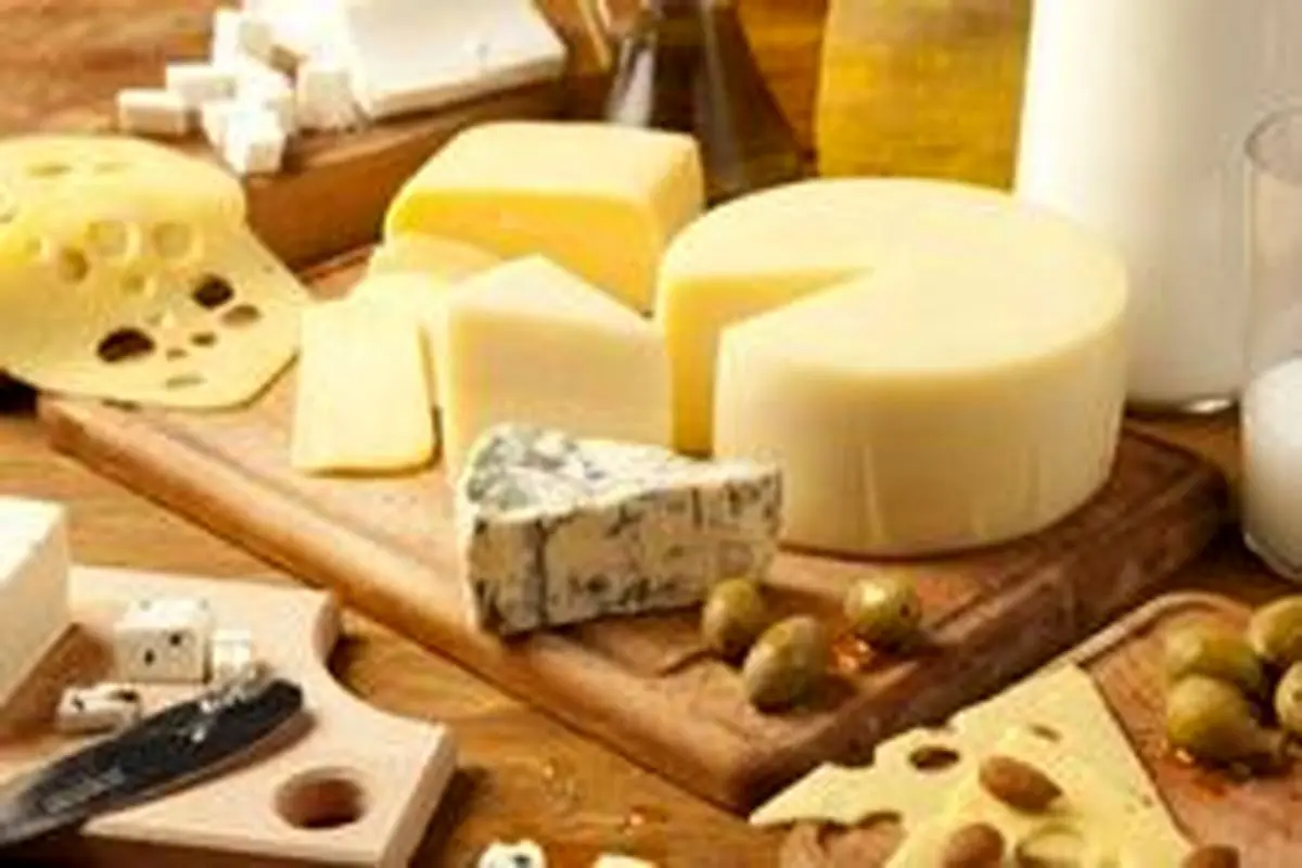 معرفی انواع پنیر و نحوه استفاده از آن‌ها