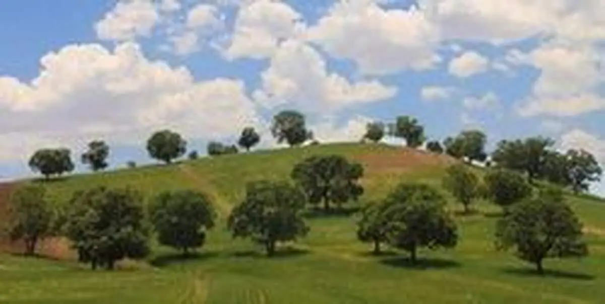 گرمای تهران به ۳۶ درجه می‌رسد