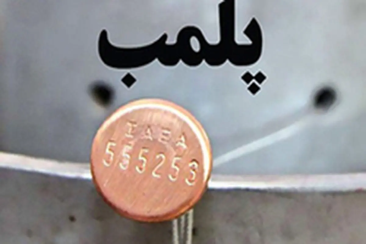 سوسک، یک نانوایی را تعطیل کرد