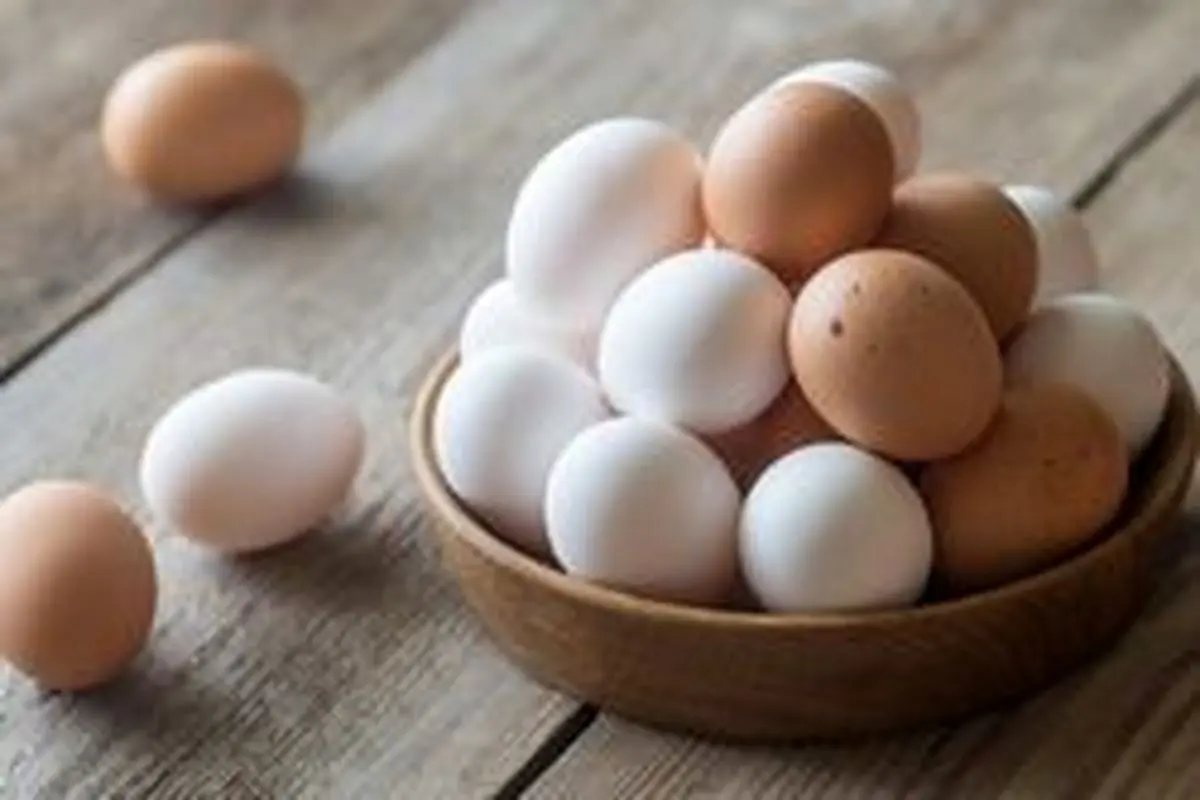 خواص فوق العاده مصرف روزانه تخم مرغ