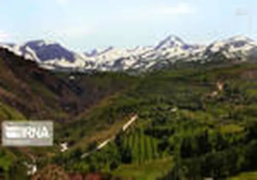 جشن رنگ و طراوت در طبیعت+ تصاویر