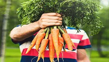 خوراکی‌ های مفید برای چشم