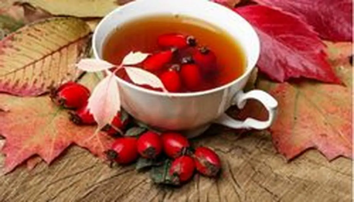 خواص شگفت ‌انگیز گل نسترن