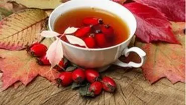 خواص شگفت ‌انگیز گل نسترن