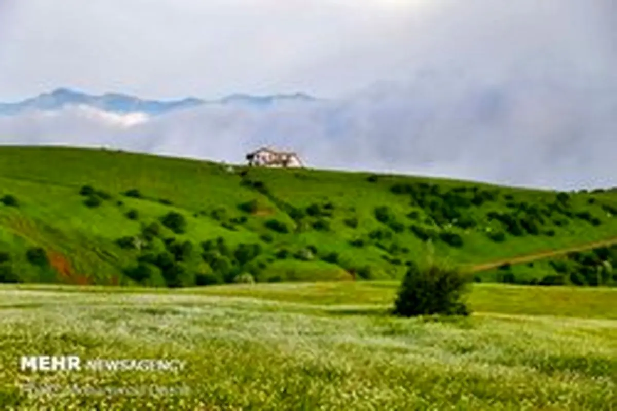 آتش زنندگان مراتع به ۱۰ سال حبس محکوم می‌شوند