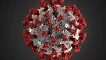 عبور تعداد مبتلایان به ویروس کرونا از ۷ میلیون نفر در جهان