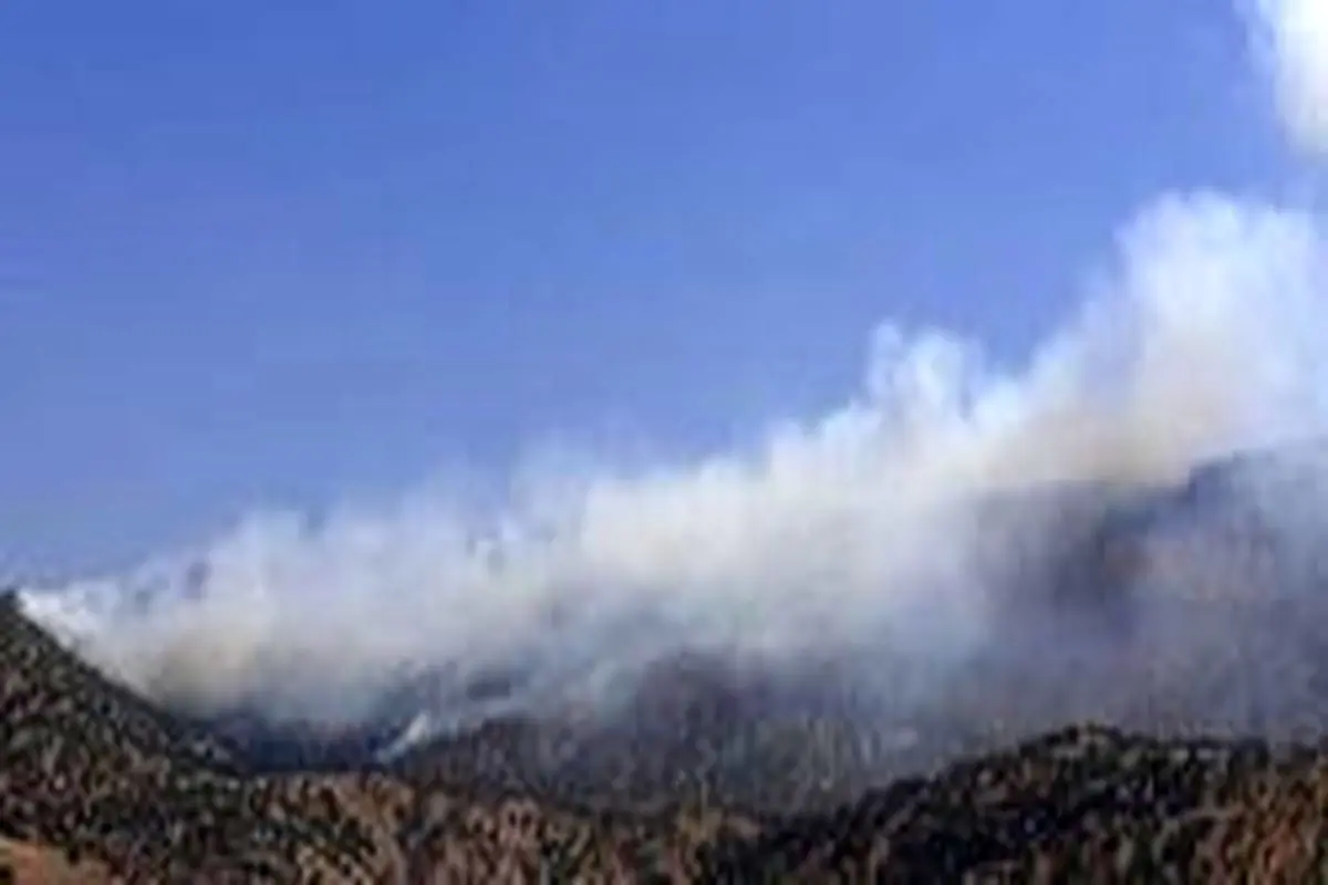 آتش سوزی شدید در جنگل‌ها و مراتع تمنک دنا +عکس