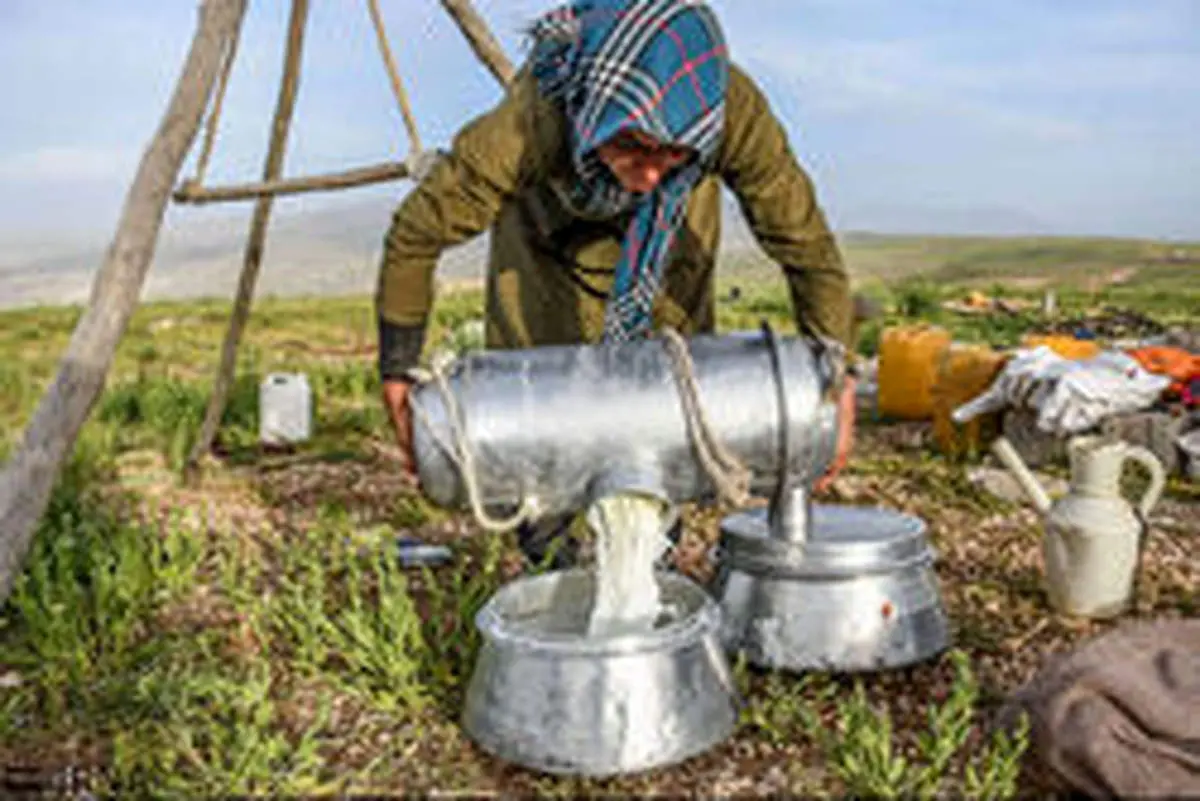 هشدار درمورد مصرف شیرهای غیر پاستوریزه