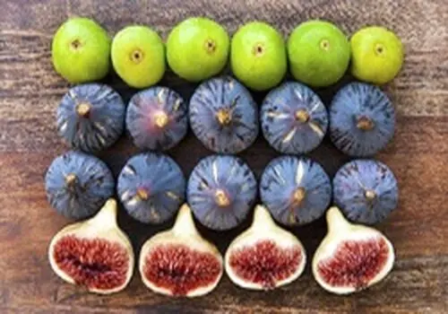 خواص اعجاب انگیز انجیر برای معده