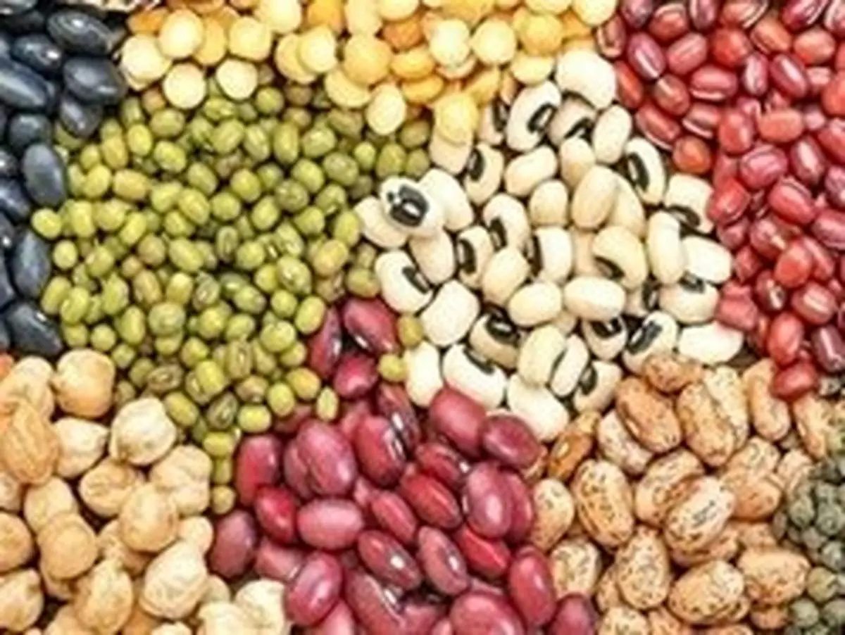 قیمت حبوبات در بازار امروز دوشنبه ۲۶ خرداد