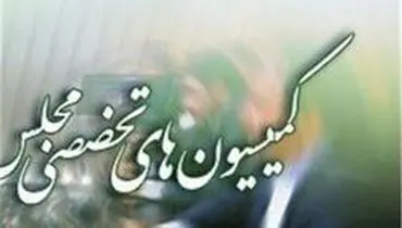 لیست نهایی کمیسیون‌های صنایع و اصل ۹۰ مجلس + اسامی