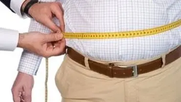 تاثیر چاقی شکمی بر کوچک شدن یا پیری مغز