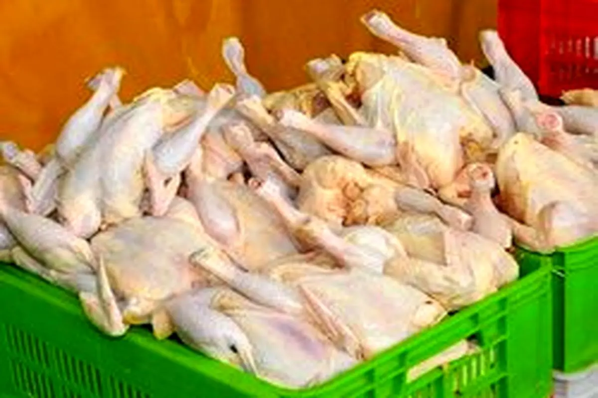 قیمت مرغ در بازار امروز چهارشنبه ۲۸ خرداد