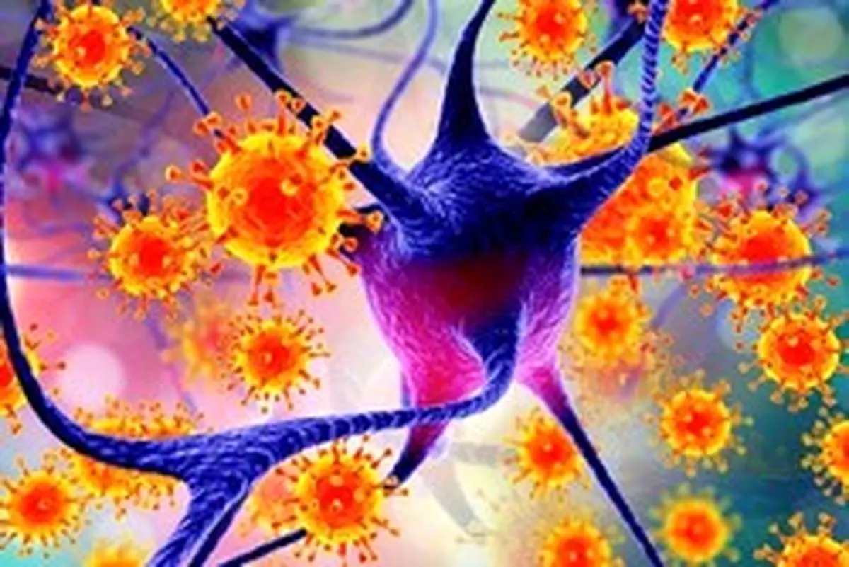 ویروس HIV در سلول‌های مغزی پنهان می‌شود/ افزایش امید برای درمان قطعی ایدز